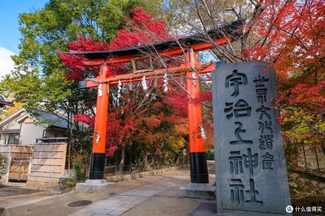 “洲”游关西：京都、宇治、奈良怎么玩？都在这篇里！