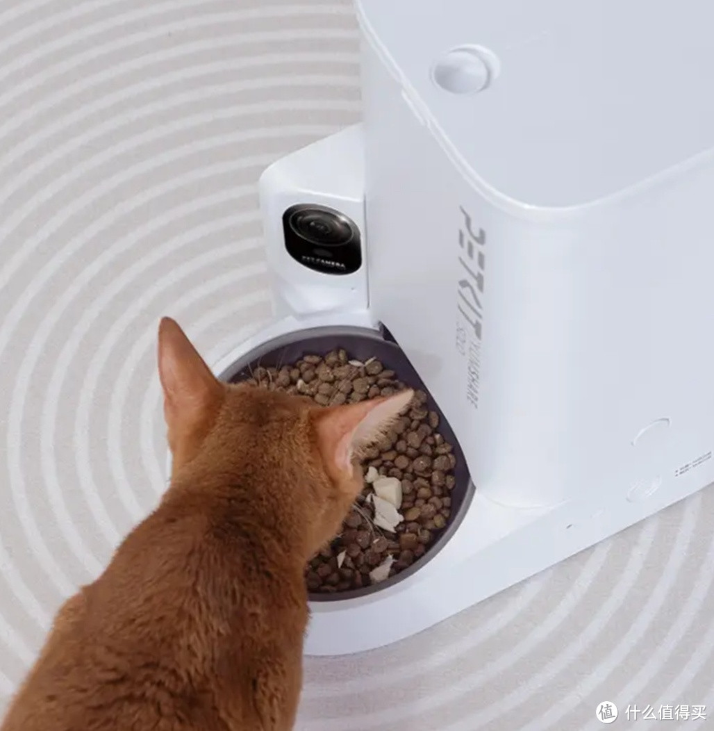 智能猫咪喂食器，让爱宠不再挨饿！