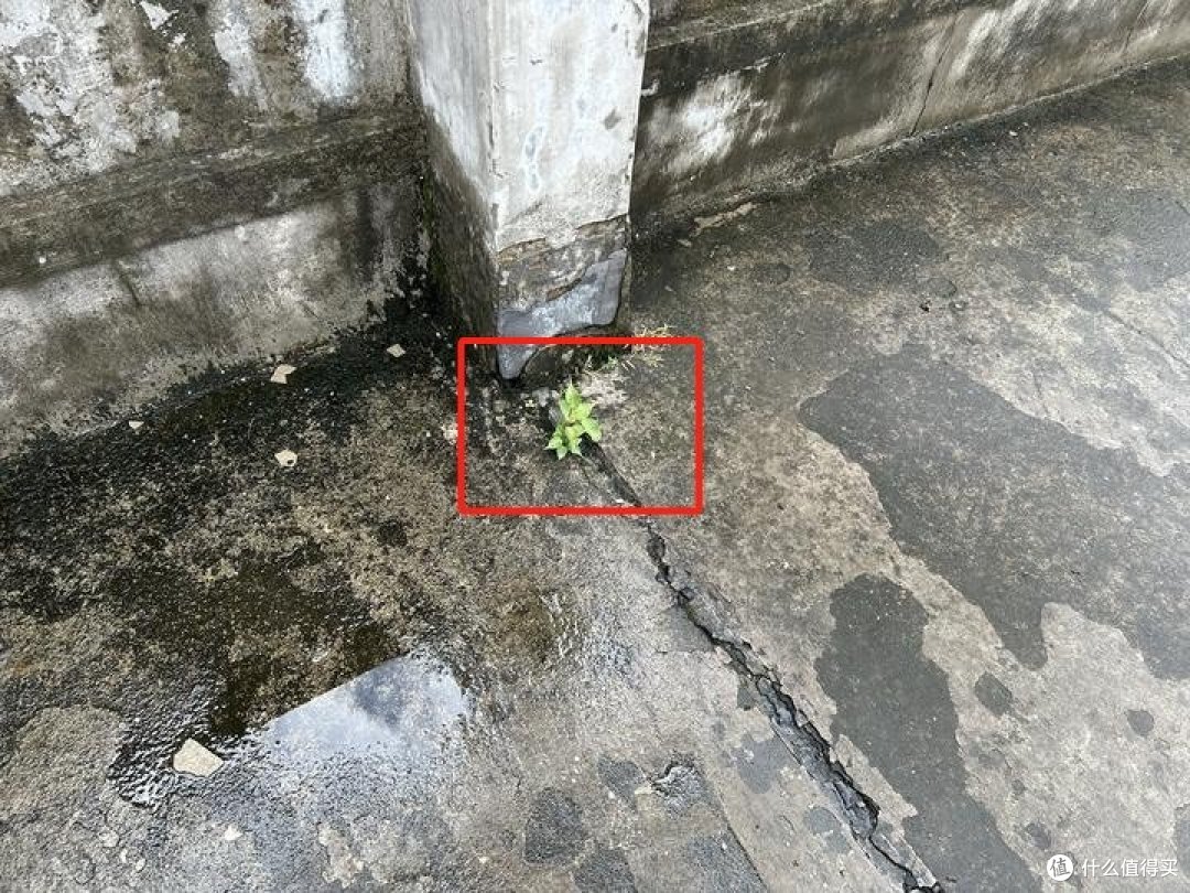 屋顶不漏水却想做防水?看完再做决定不迟!