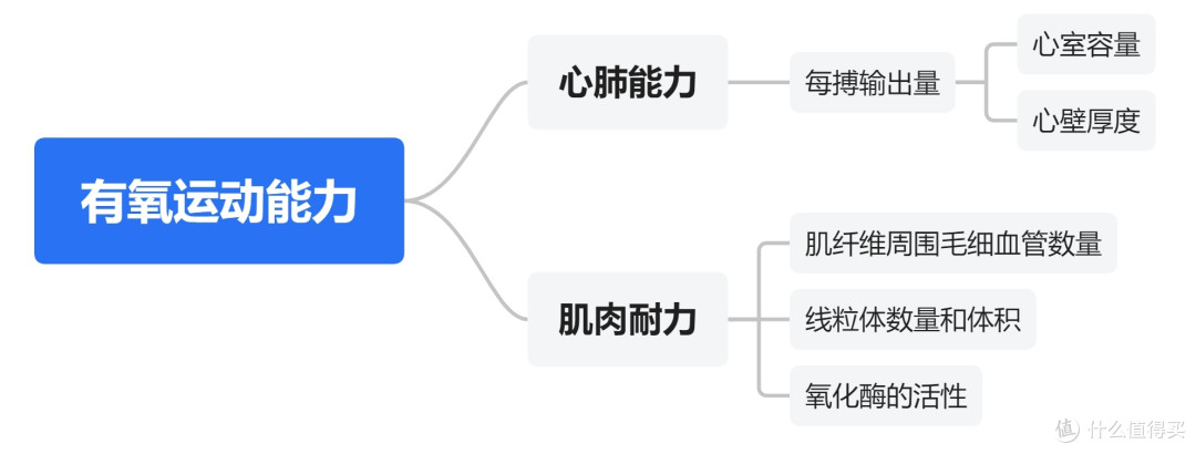 5K长文:我们划船、跑步、骑车的意义何在?如何能长期有效的通过这些运动来提升我们的身体素质