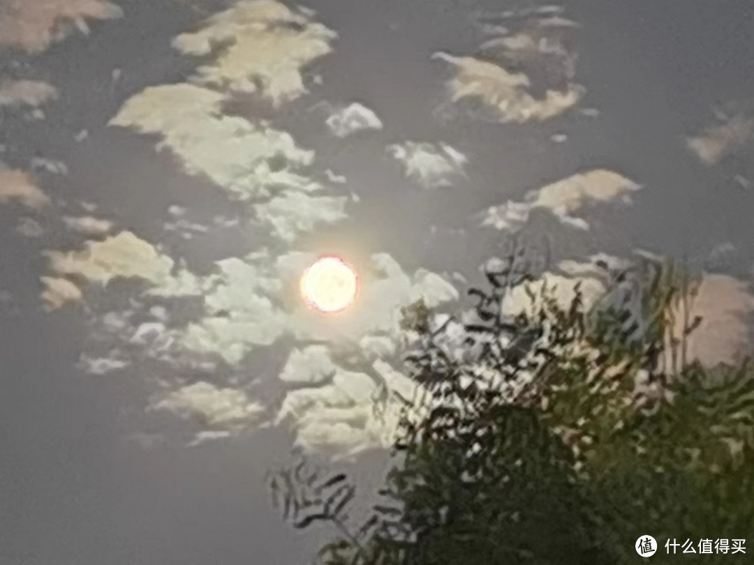 圣诞节快乐,又是一年