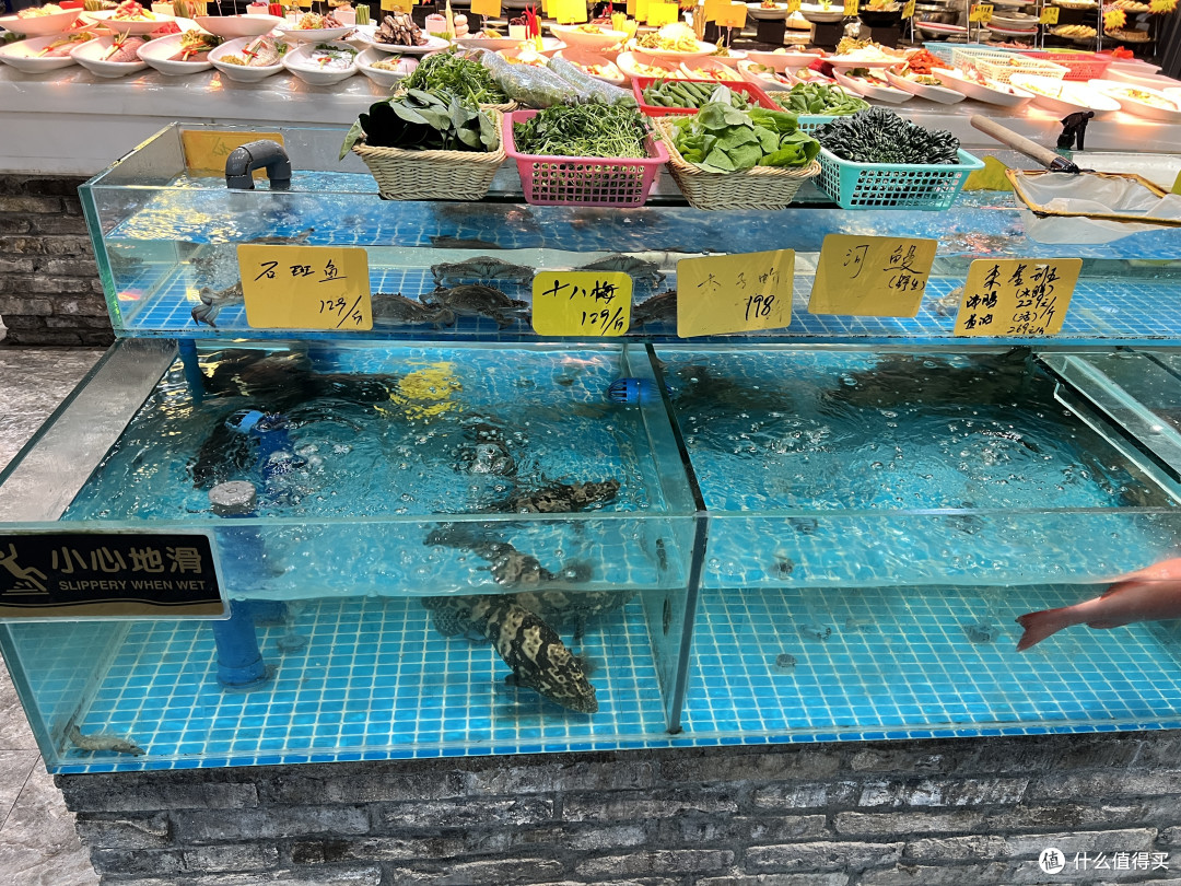 探店——宁波一家海鲜饭店——甬上食府