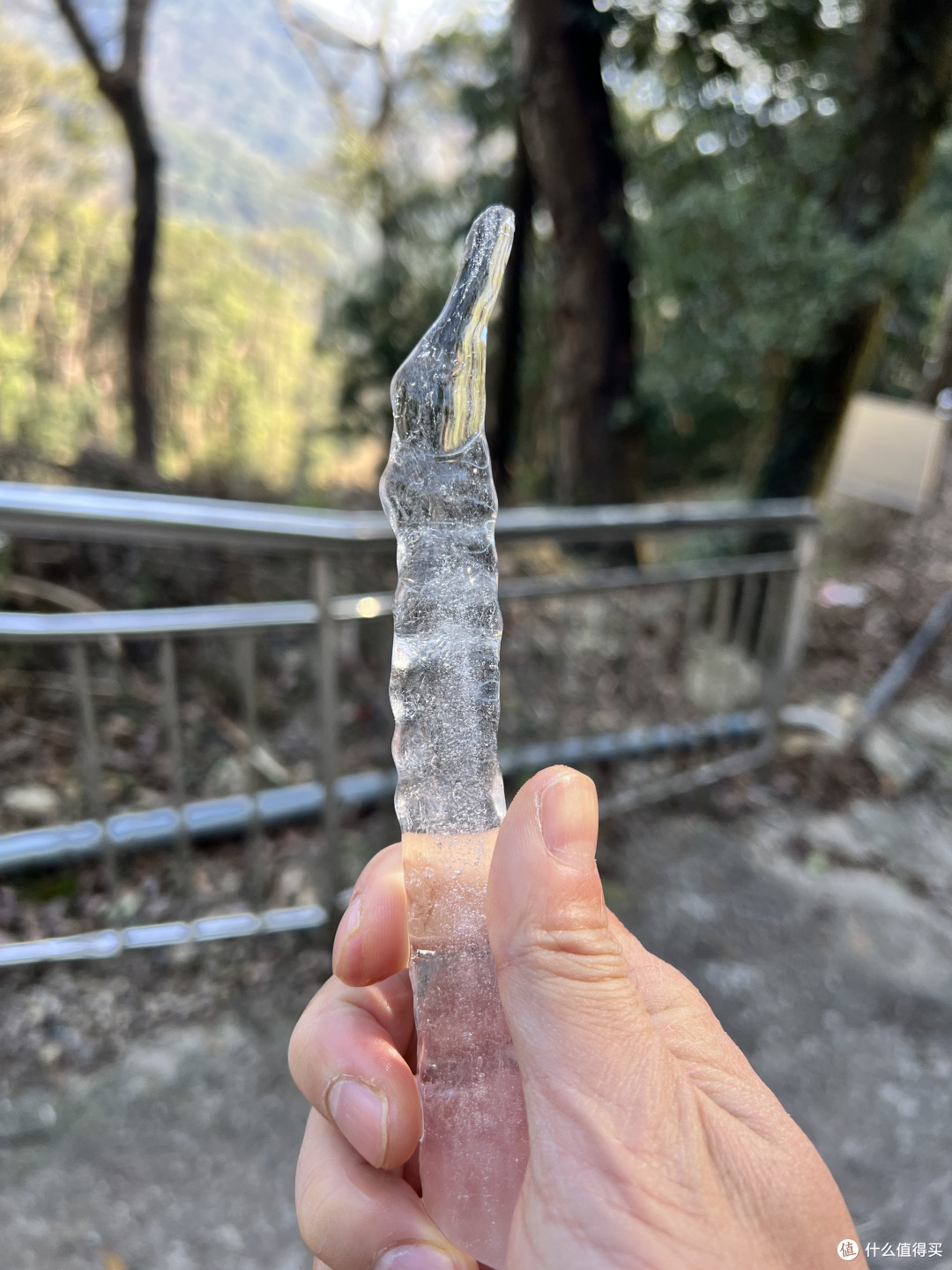 周末的时候去跑了个山——宁波天童寺森林公园小环线