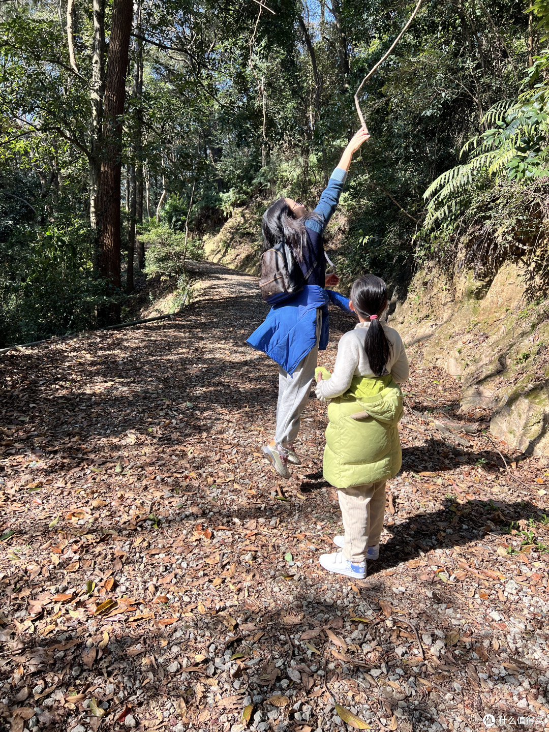 周末的时候去跑了个山——宁波天童寺森林公园小环线