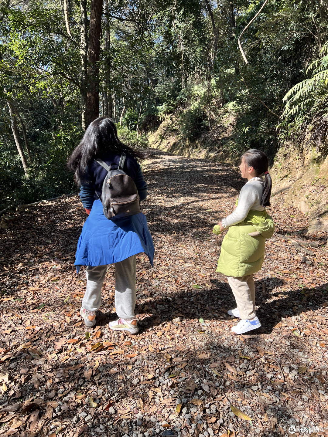 周末的时候去跑了个山——宁波天童寺森林公园小环线