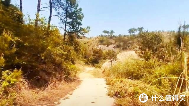 武汉黄陂大山里有座废弃景区：峡谷森林遍布乱石，还有人工步行道