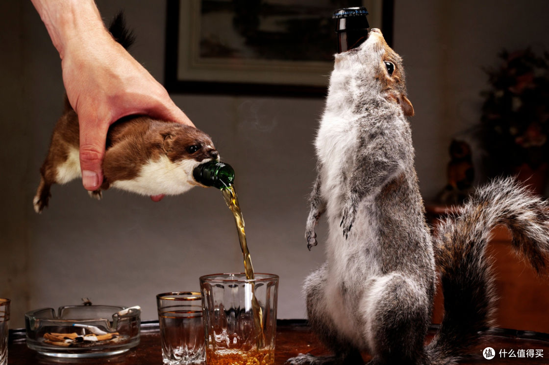 BrewDog The End of History