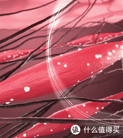 筋膜枪什么品牌好?筋膜枪推荐:有品/小米/倍益康/skg/hyperice/飞利浦筋膜枪哪款好