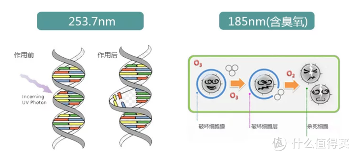 内衣洗衣机怎么选？8年踩的坑一次讲清楚，999的大宇全自动内衣洗衣机靠不靠谱？实测告诉你！