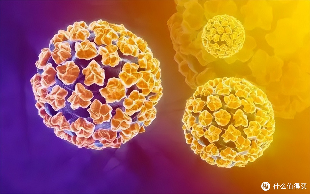 你真的了解HPV吗？