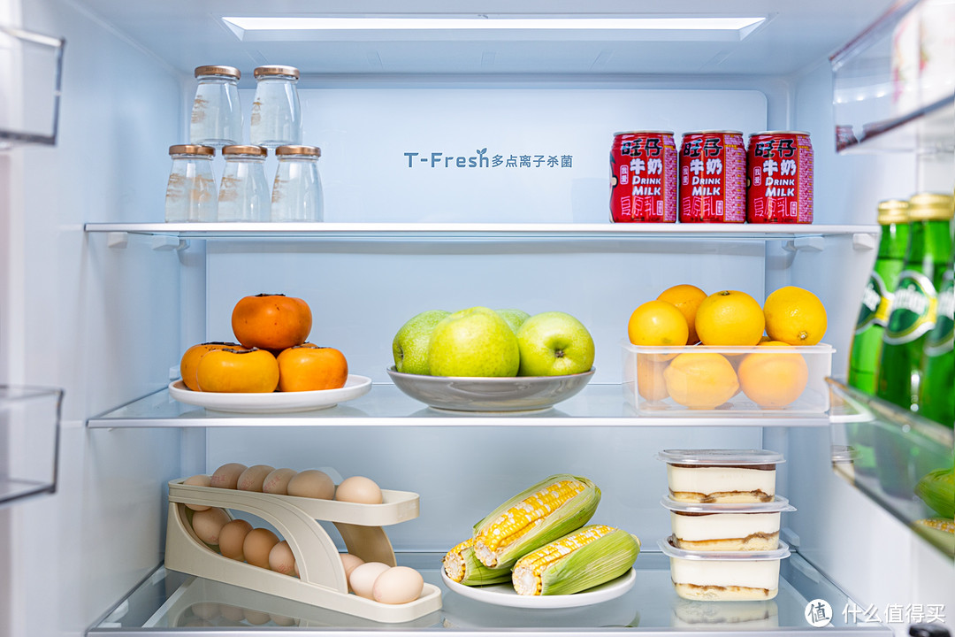TCL零嵌入法式冰箱T9-DQ，打造完美厨房的终极选择！