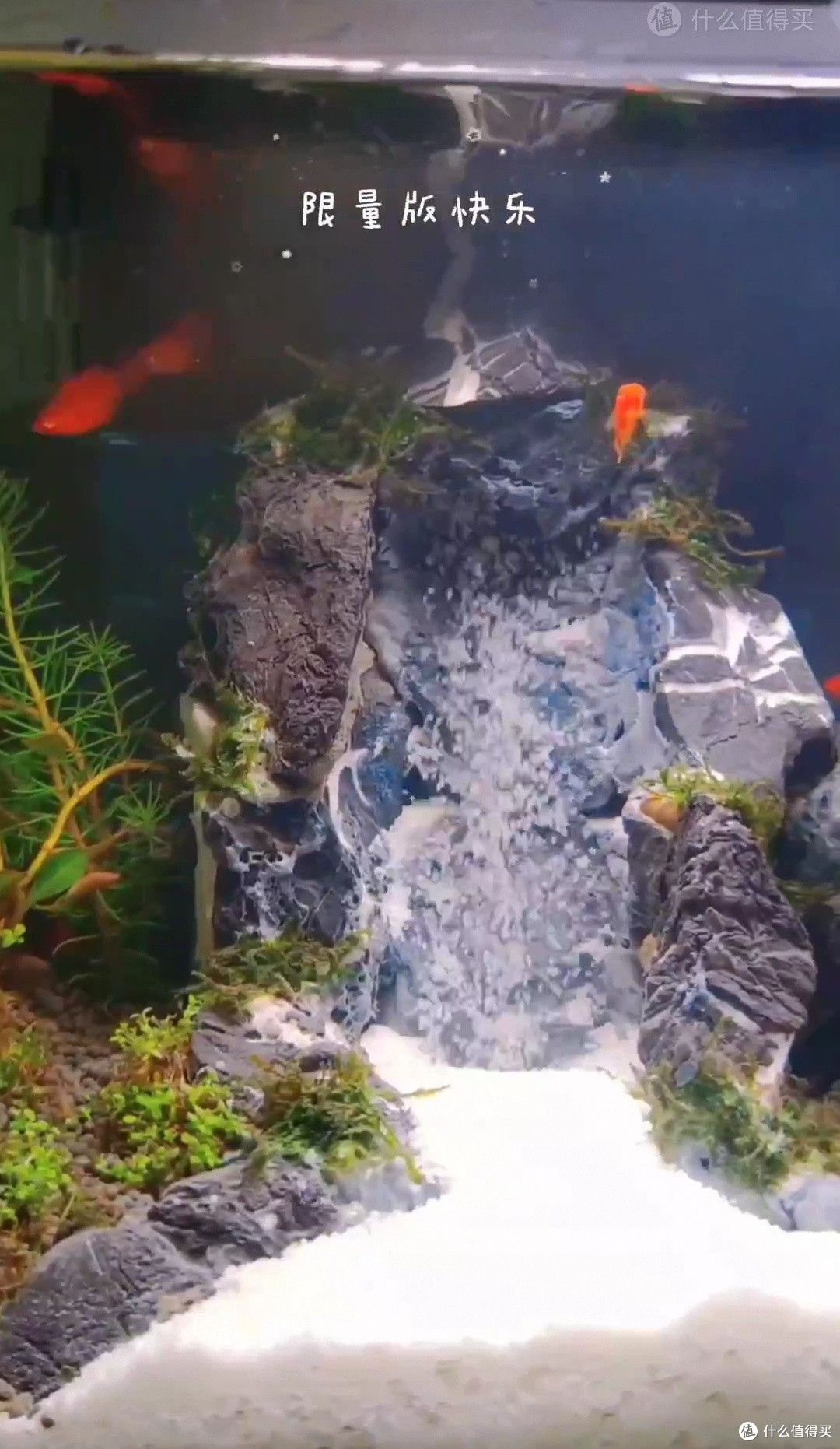 关于小米鱼缸造景之流沙瀑布!
