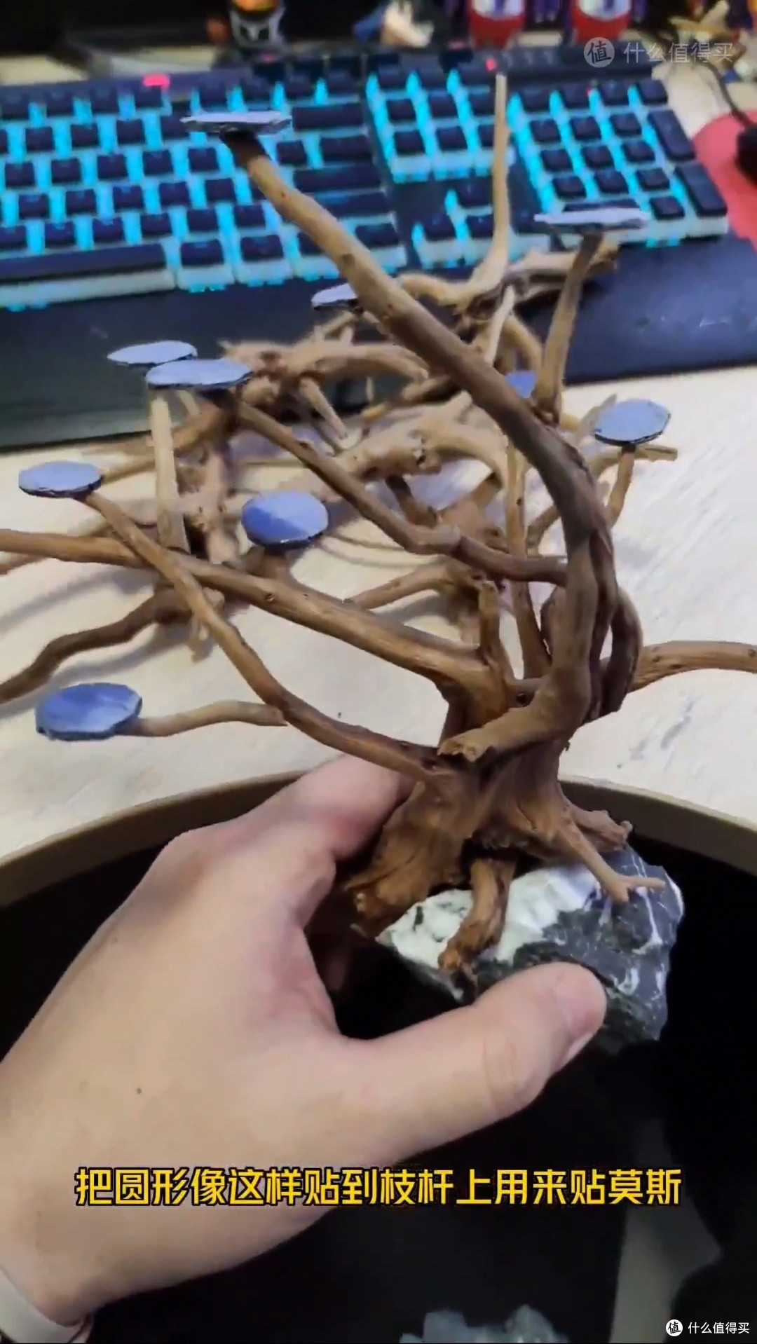 关于小米鱼缸造景之流沙瀑布！！！