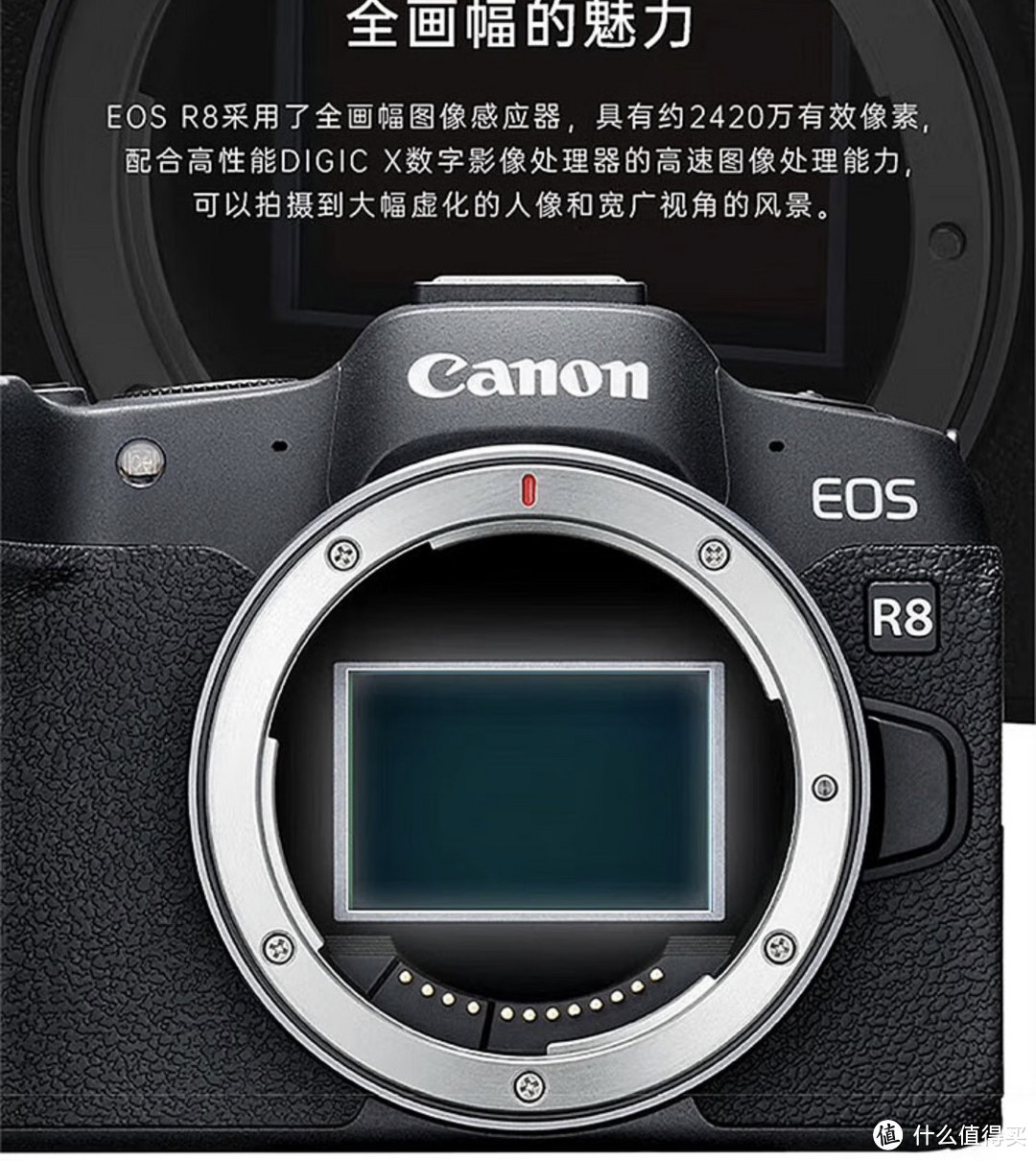 佳能（CANON）EOS R8：开启专业级旅游Vlog摄影之路