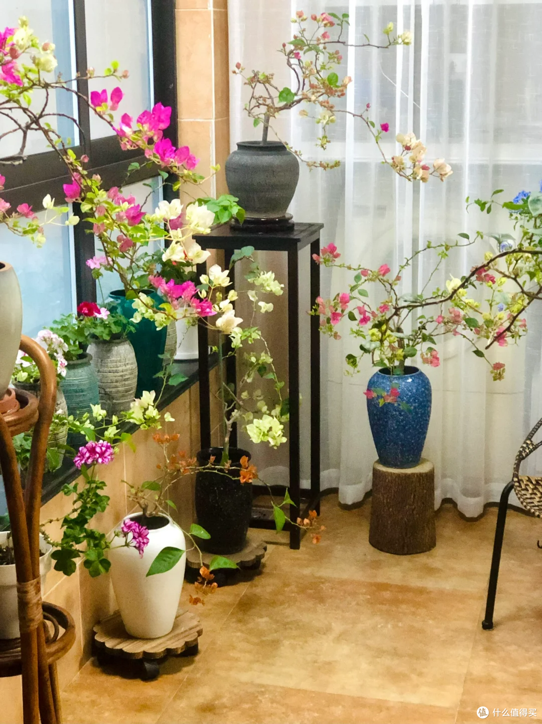 四川一25岁姑娘，因“极致三角梅”而走红，美丽又治愈，羡慕