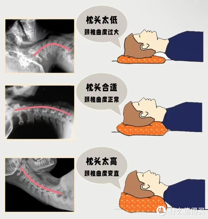 有什么值得推荐的枕头以及枕头品牌？如何选择合适的枕芯材质？