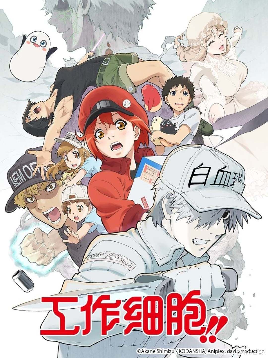 《工作细胞!!》第二季，普通话版更适合中国宝宝！