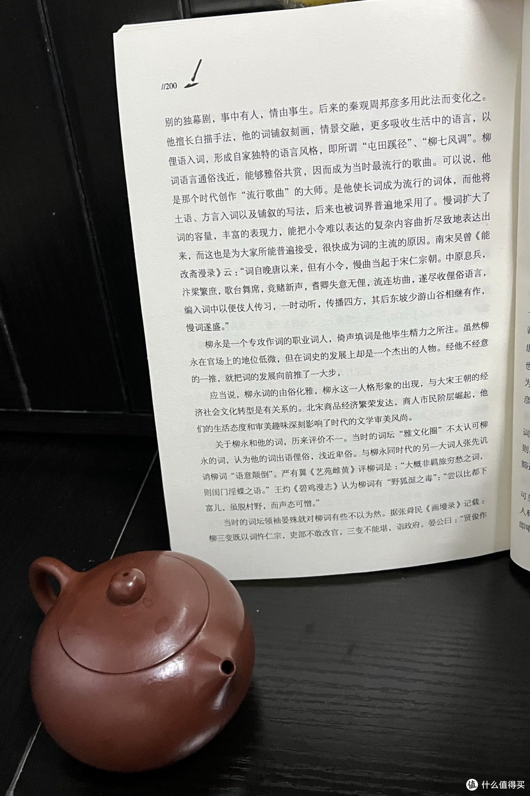 2023年终总结:重拾对柳永的热爱