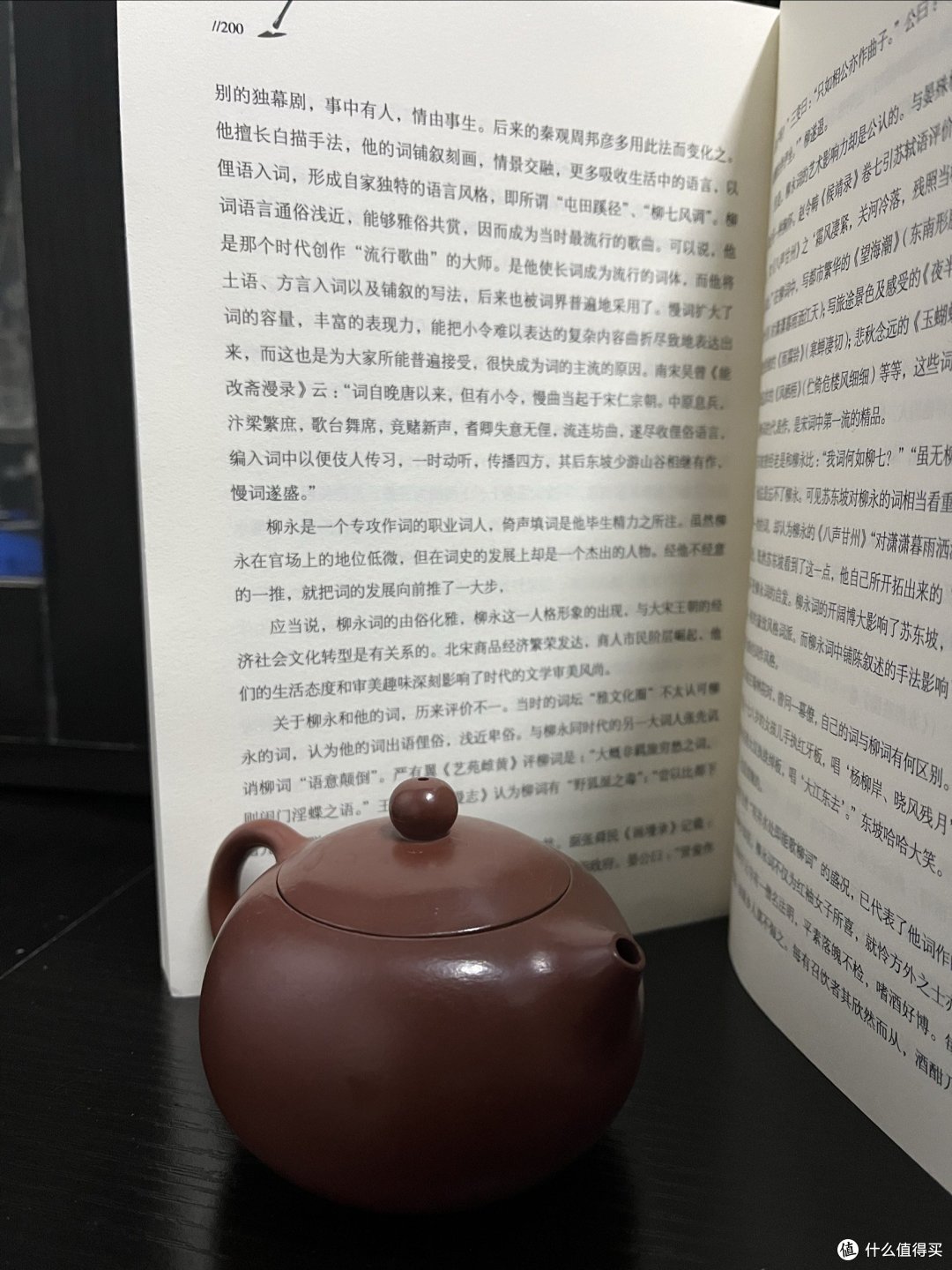 2023年终总结:重拾对柳永的热爱