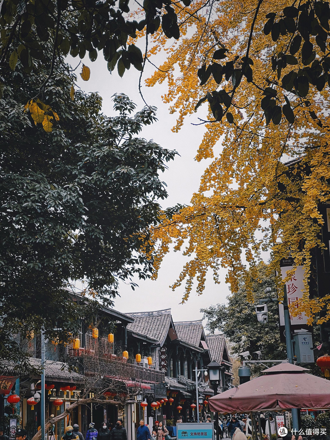 成都真好,下次还要来嘻嘻