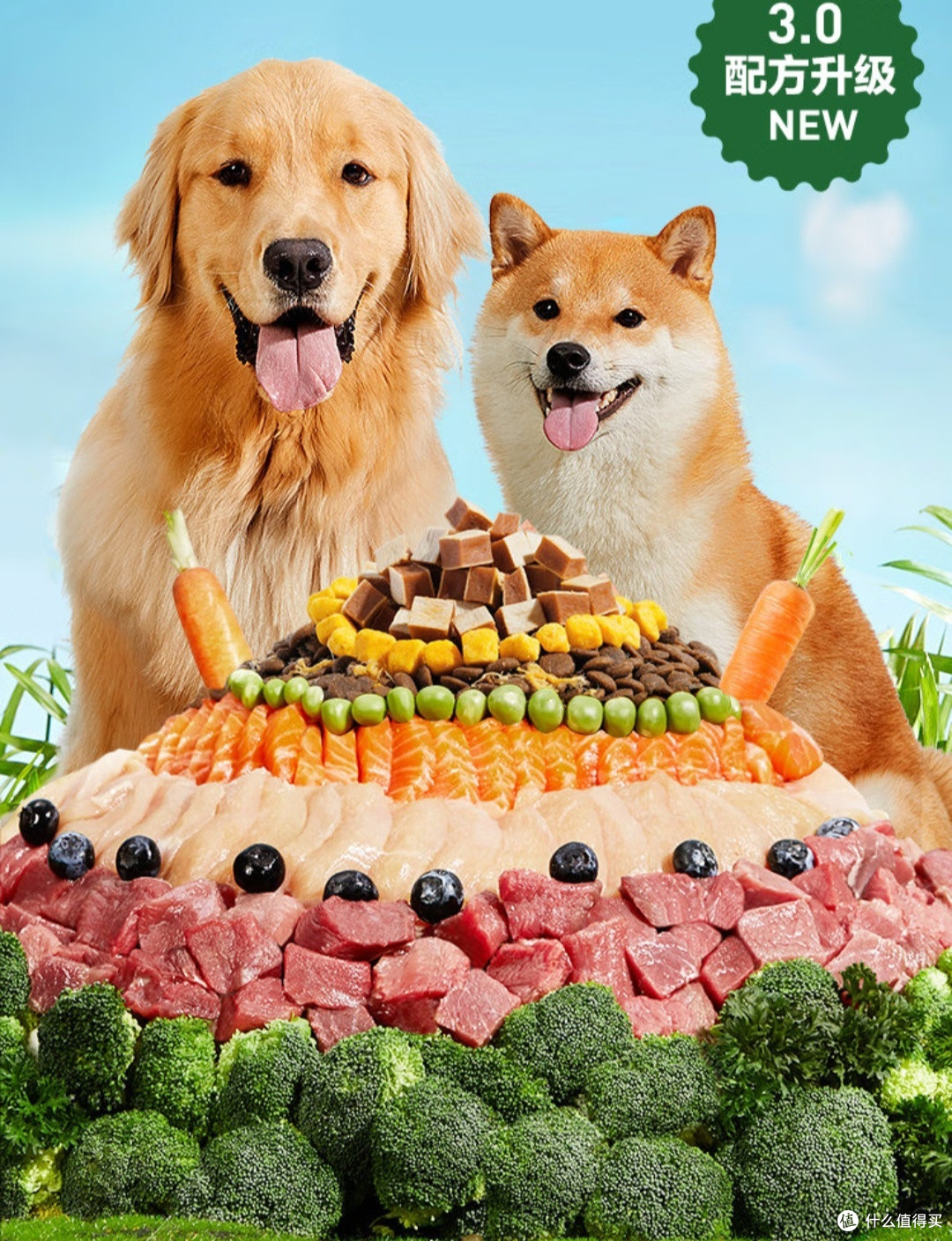 无谷牛肉鸡肉冻干三拼,狗狗也能享受的美食盛宴!