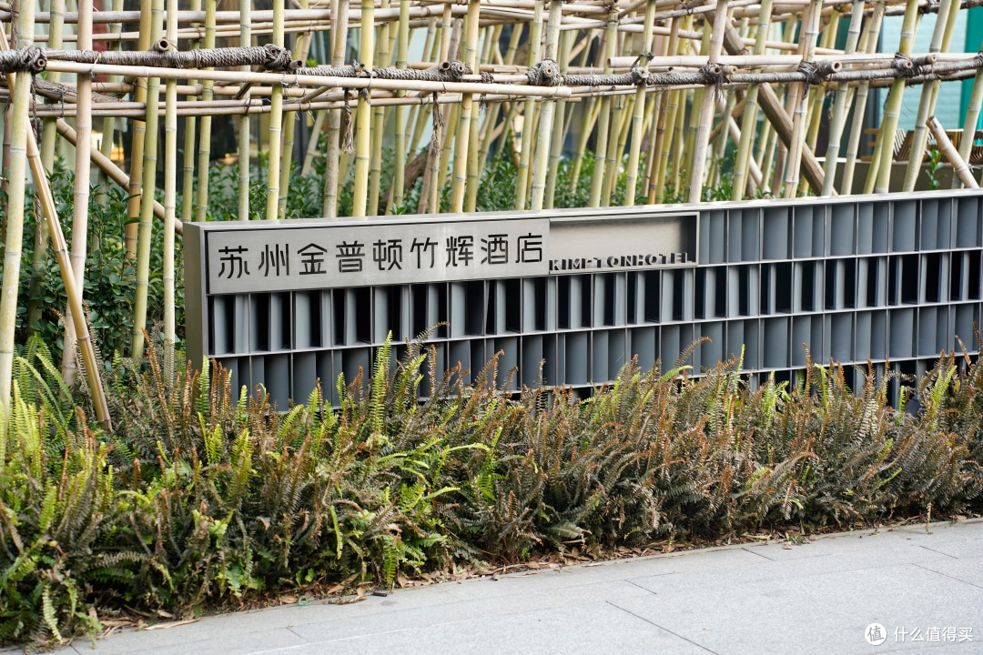 国内首家苏州金普顿竹辉酒店入住体验
