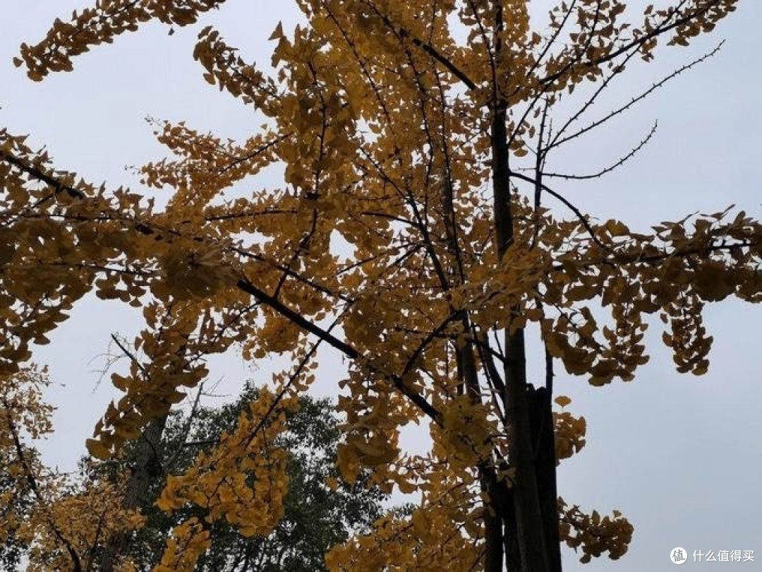 情节构建的五个关键要素