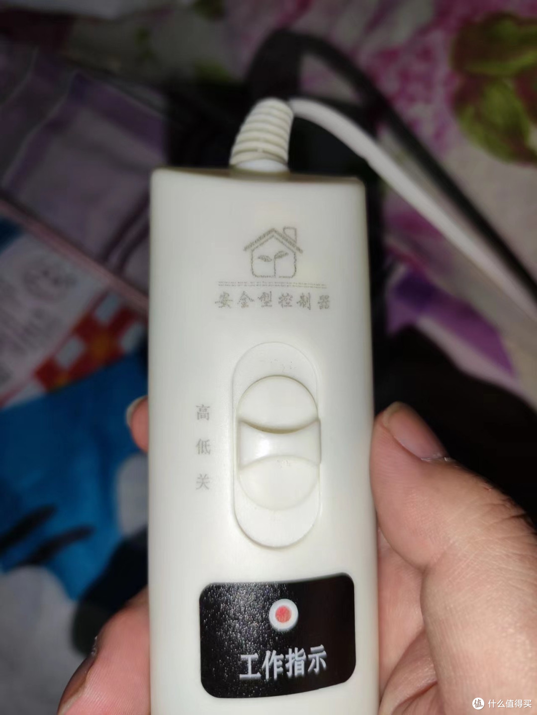十几二十块新购的平价保暖好物