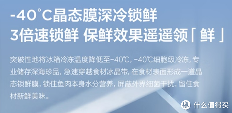 2023年法式冰箱为什么受欢迎？当下购买冰箱需关注哪些方面？哪款产品更推荐？