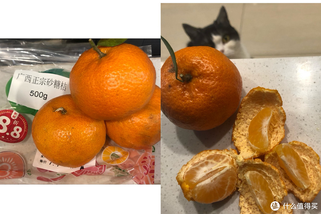 柑橘🍊 orange｜2023年好吃的三款柑橘类推荐，回购次数多，荣获我家排名前三。