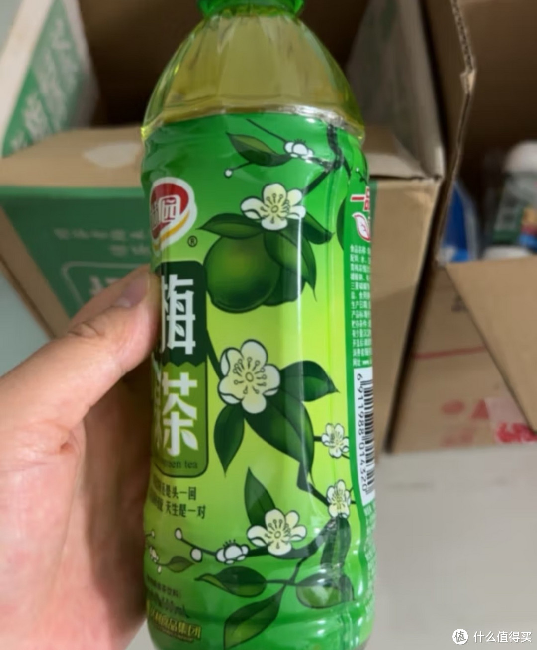 达利园 青梅绿茶饮料500ml*15瓶整箱装青梅果汁果味茶饮品 