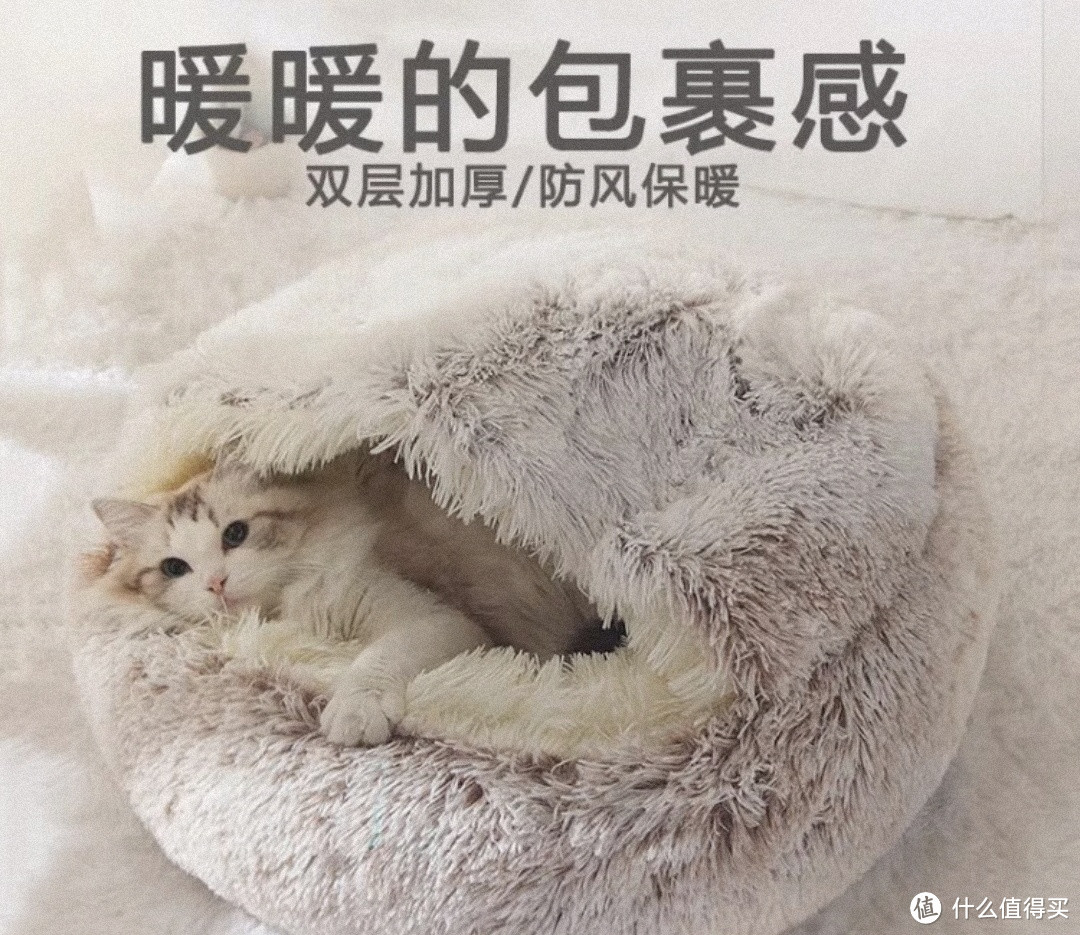 过年了可以为猫猫准备点好年货