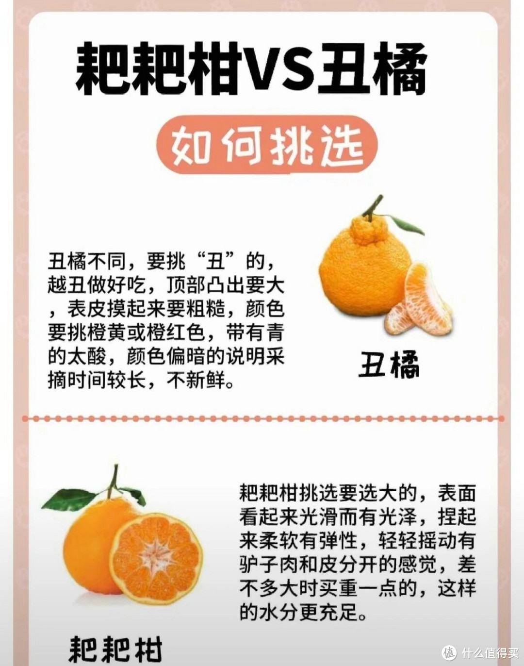 丑橘与耙耙柑大比拼，你分得清吗？
