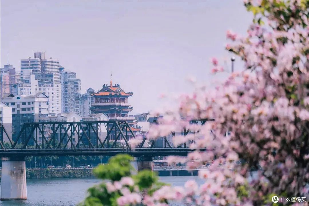 又chill又自由!这样的旅行方式谁不爱啊