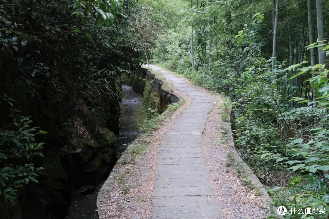 杭州出发！这条新开的高铁，一路全是好风景，还免门票！