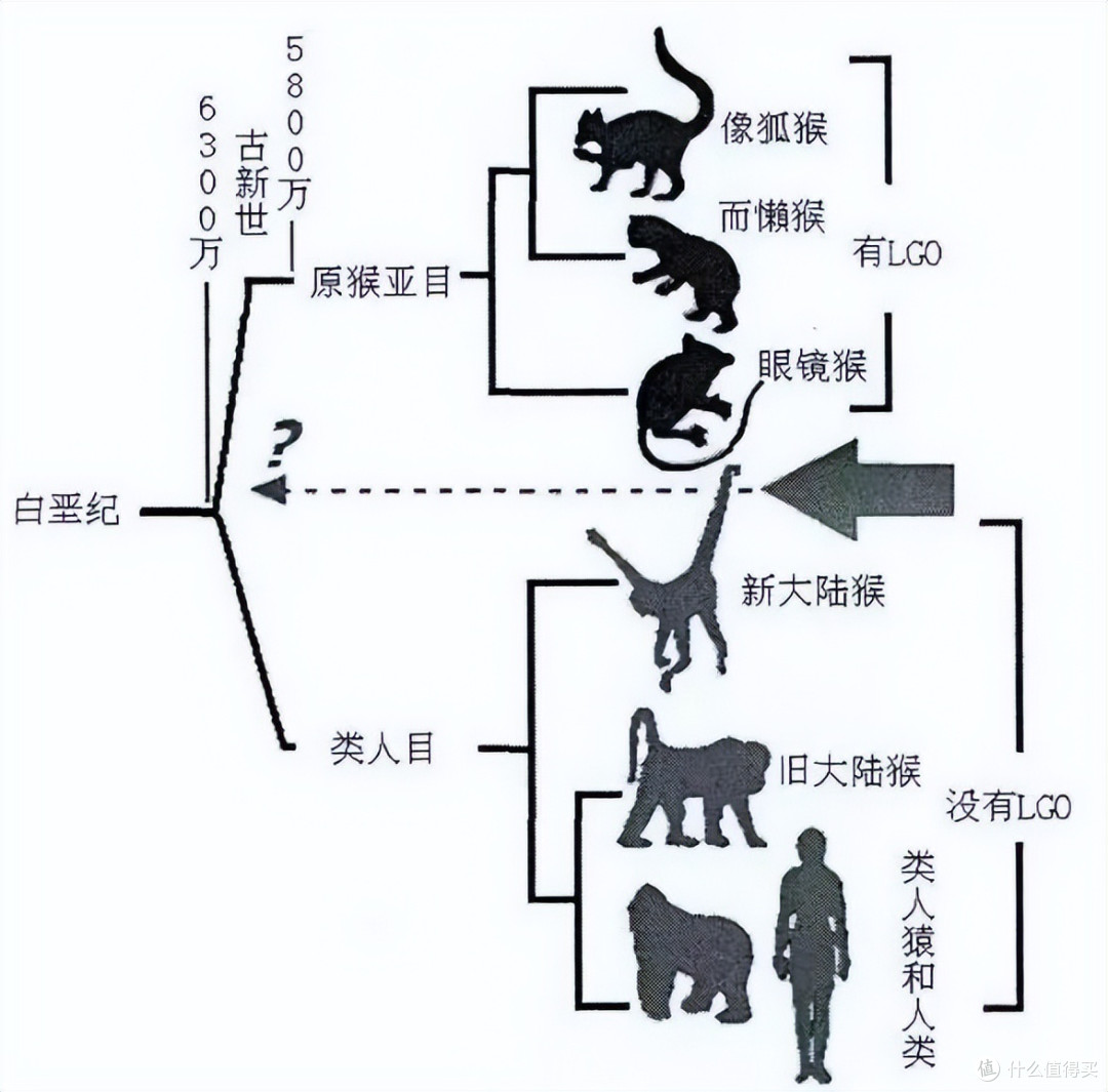 保健食品那么贵，为啥还有人买？