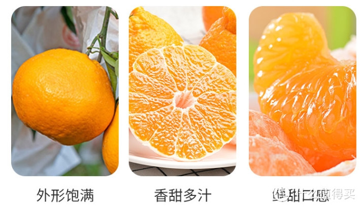创作赢众测必中-丑橘和粑粑柑的区别