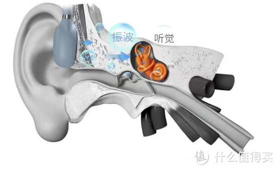 2024年骨传导蓝牙耳机推荐,十款最适合学生党的入门级骨传导耳机自购测评,骨传导耳机怎么选购?