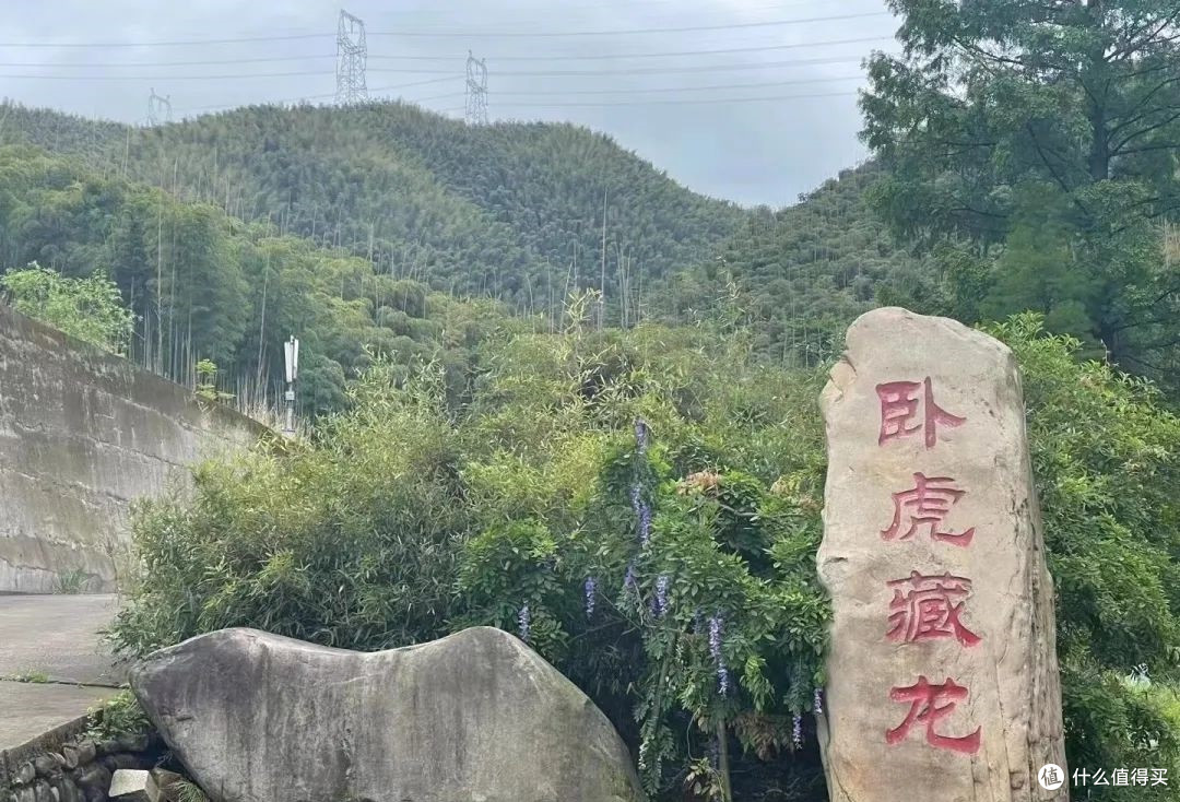 2023年过去了，我很想念它