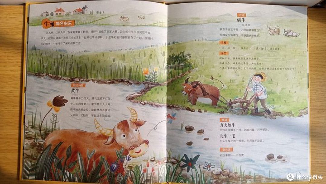 新年了解传统必备绘本!这5本让孩子爱不释手!