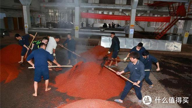 茅台酒厂“车间照”流出，员工奇葩操作引众议，难怪他们从不偷喝_白酒_什么值得买