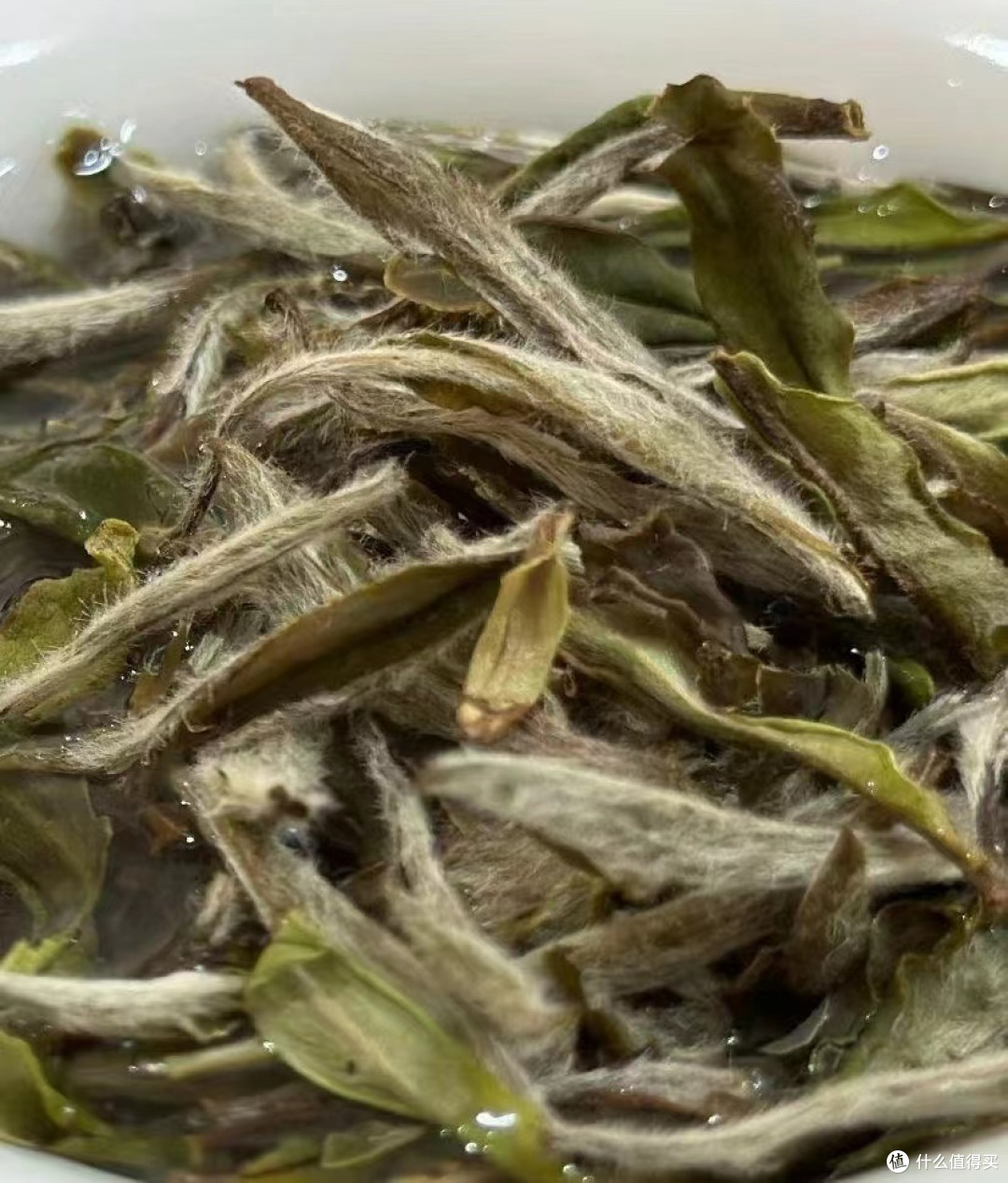 拜年礼品选茶叶,精挑几款茶叶礼盒让拜年礼物既体面又有年味!