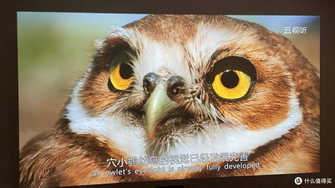 千元投影里的满配王者,哈趣K2智能投影体验,越级画质轻松享大屏