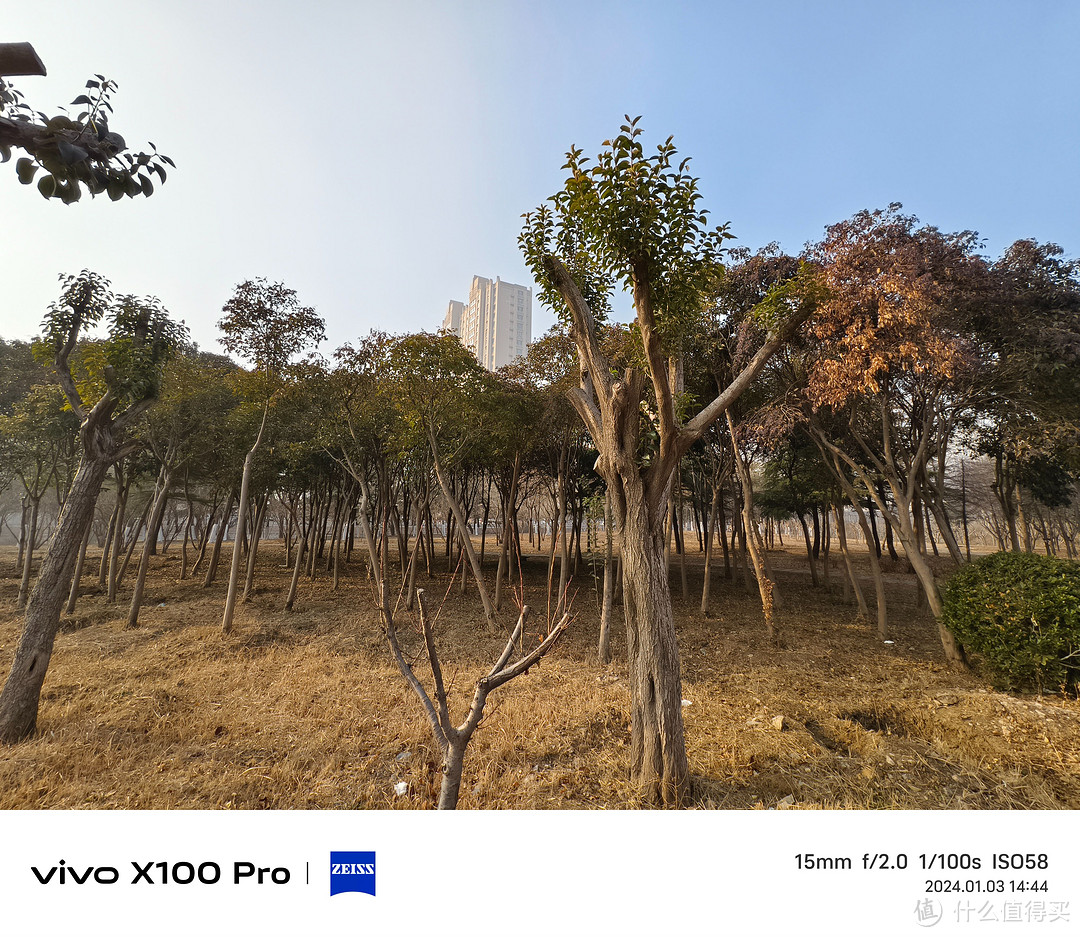 三大旗舰横评——小米14 Pro VIVO X100 Pro 一加 12 哪款更适合你 看一篇就够了