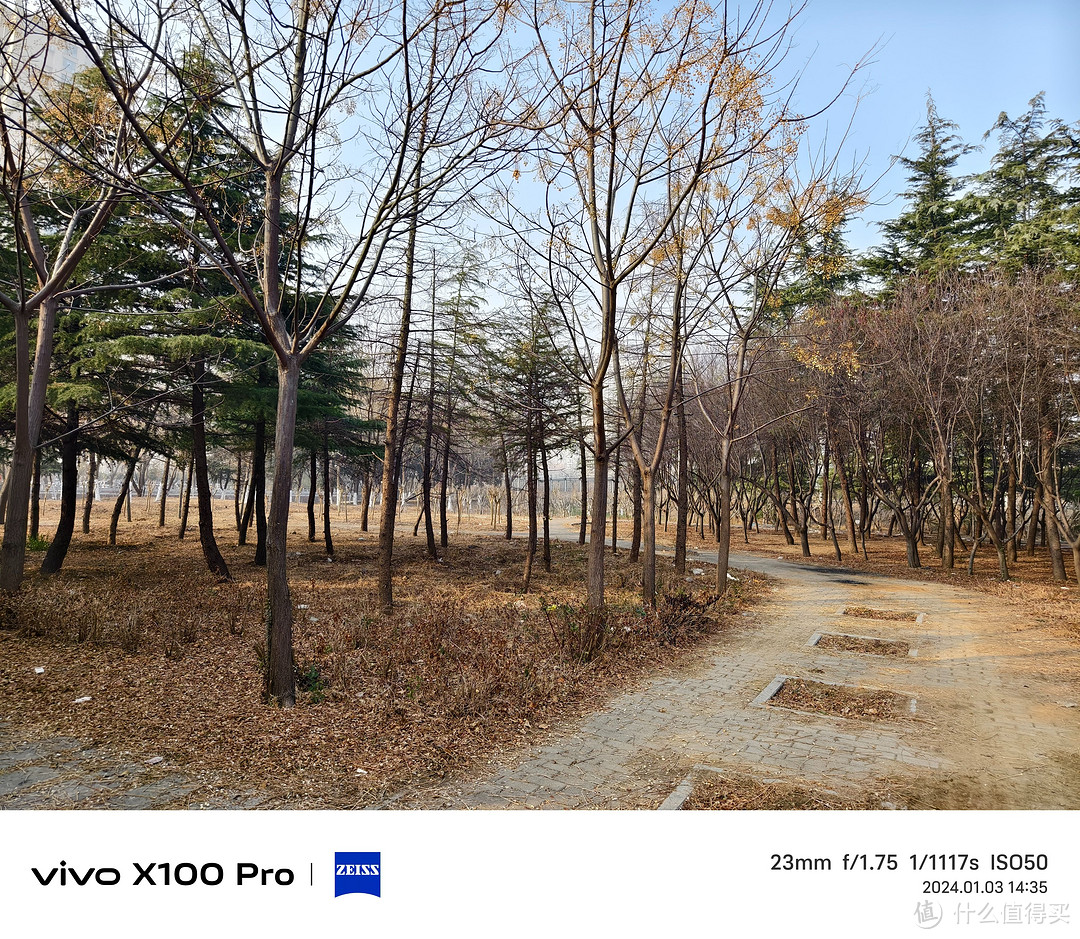 三大旗舰横评——小米14 Pro VIVO X100 Pro 一加 12 哪款更适合你 看一篇就够了