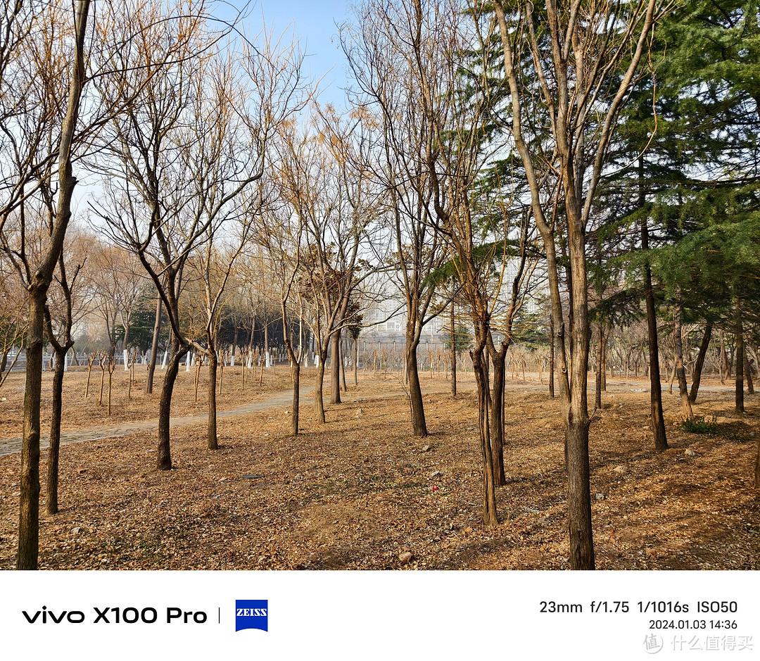 三大旗舰横评——小米14 Pro VIVO X100 Pro 一加 12 哪款更适合你 看一篇就够了