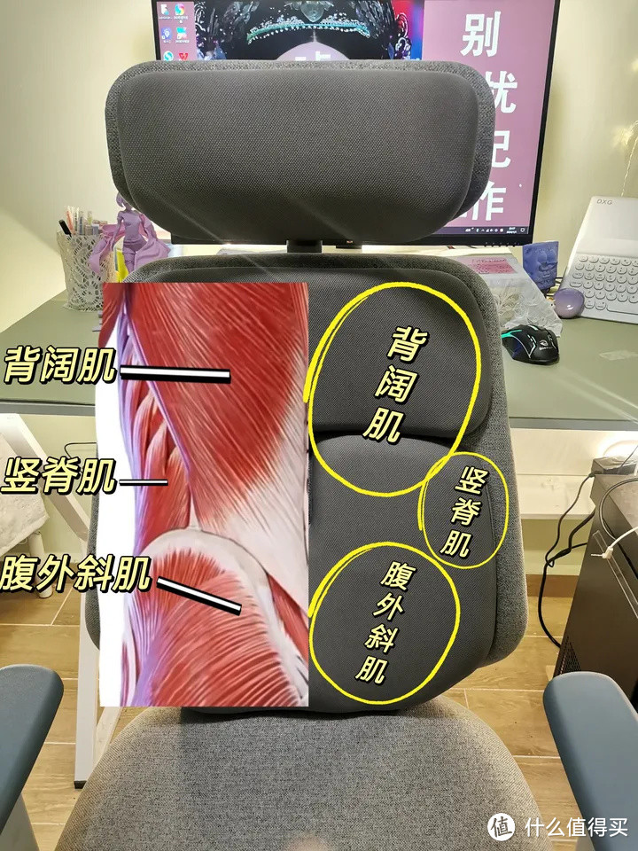 人体工学椅哪个牌子好?2024智能人体工学椅推荐| 人体工学椅测评| 贝氪智能气动托腰椅真的好用吗？