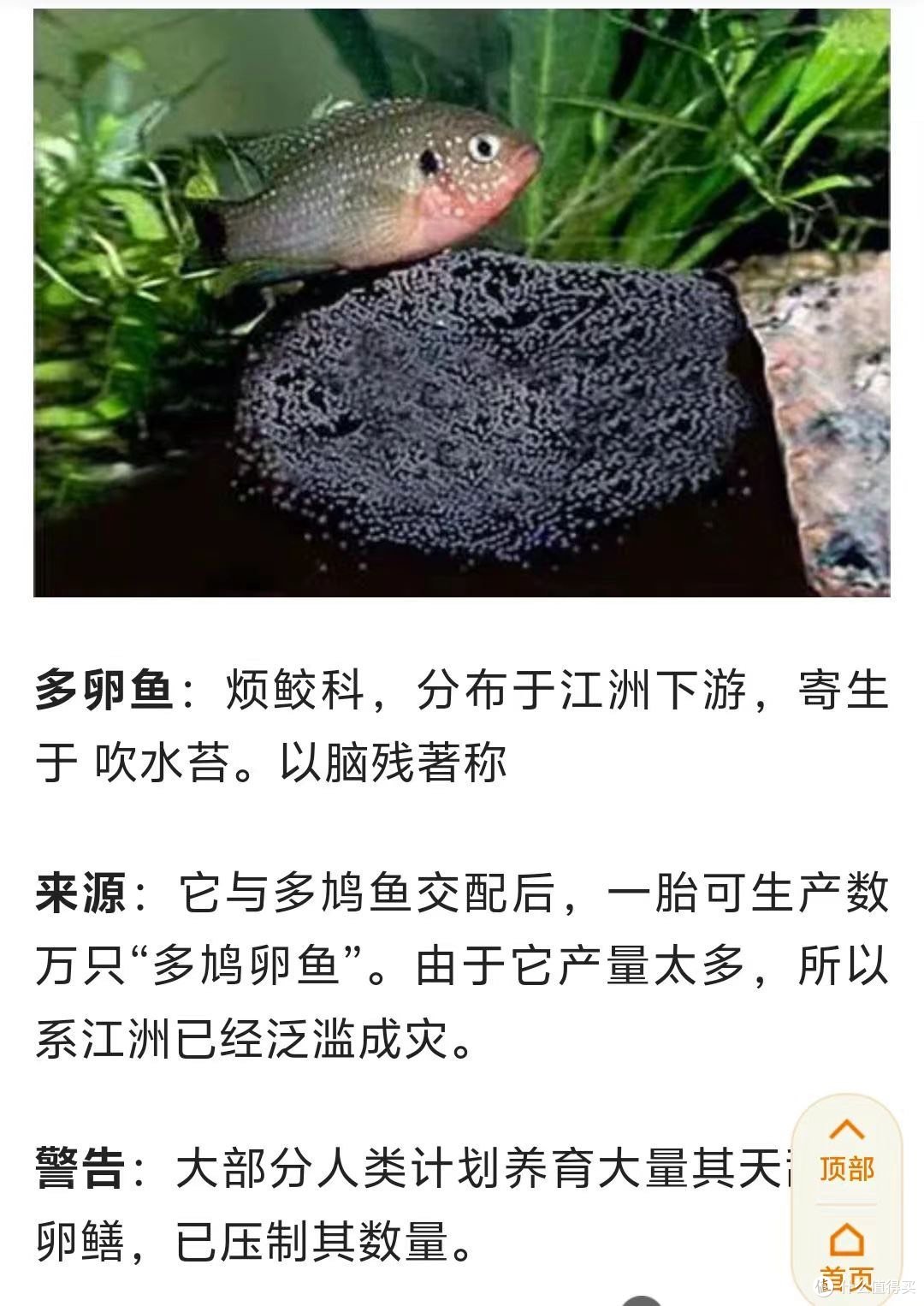 两广的兄弟才看的懂的“十大神兽”