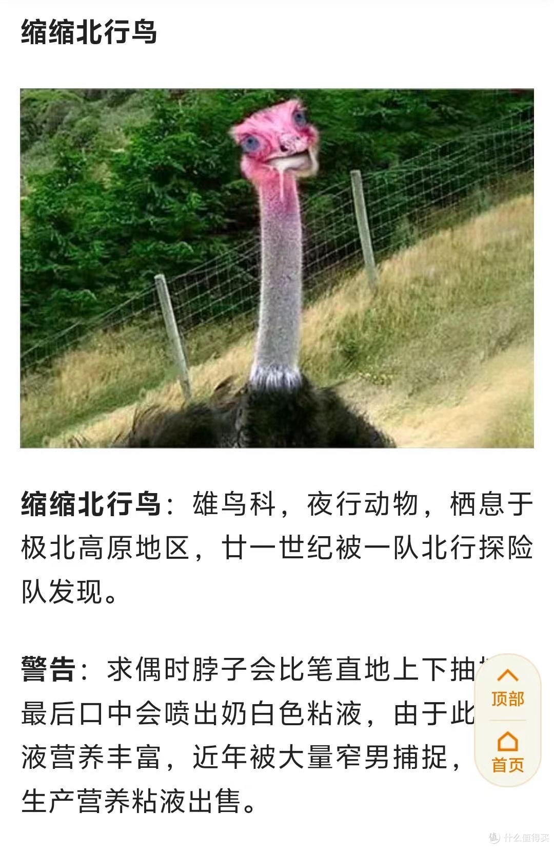 两广的兄弟才看的懂的“十大神兽”