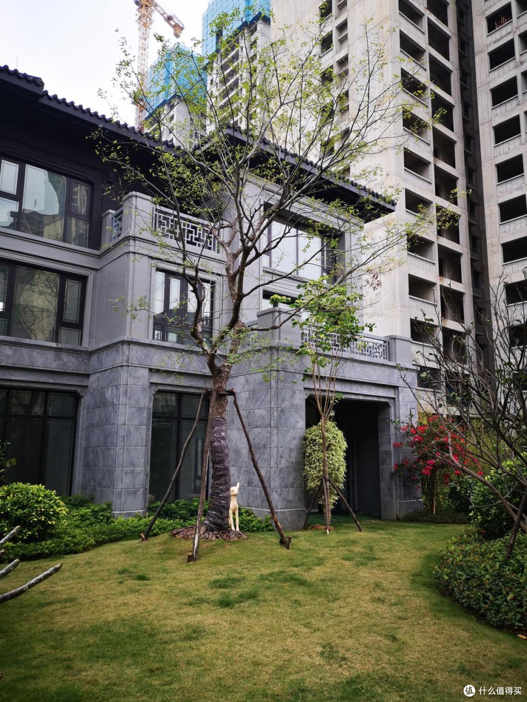 被称为豪宅“天花板”的别墅和大平层,谁能提供更好居住环境?